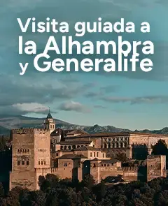 Visita guiada a la Alhambra y Generalife - Granada